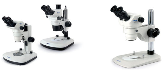 Microscopio video