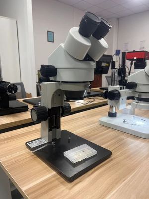 Microscopio binocular